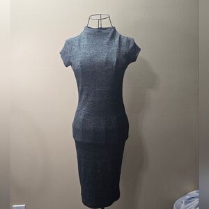 NWOT Iris Metallic Gray Knit Dress